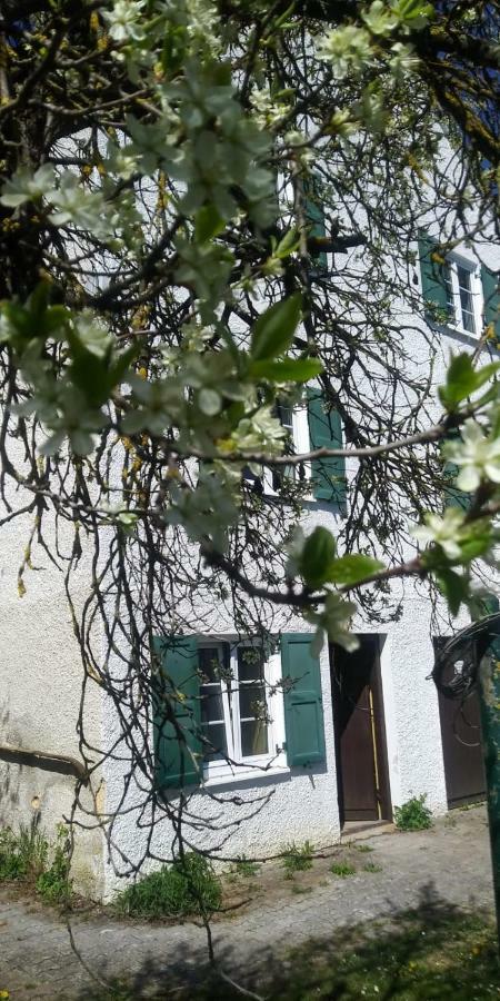 Old Bavarian House On The Romantic Road Harburg  Exterior foto